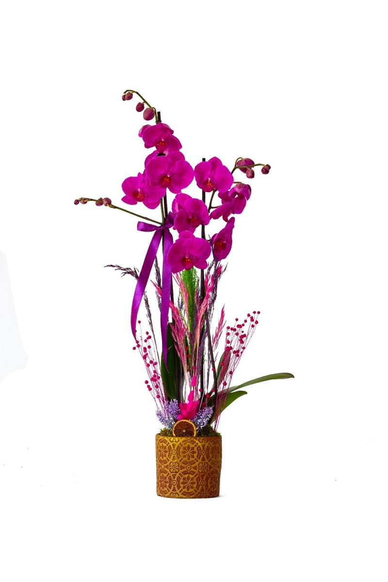 Eskitme Görünümlü Desenli Saksıda Fuşya Orkide