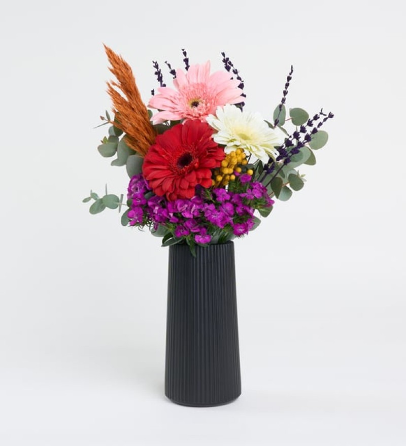 Siyah Çizgili Polimer Vazoda Kırmızı, Beyaz, Pembe Gerbera