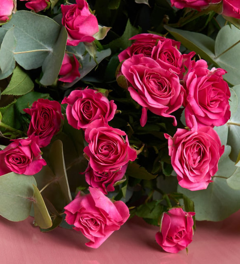 Koyu Somon Buket Kağıdında Pembe Çardak Güller