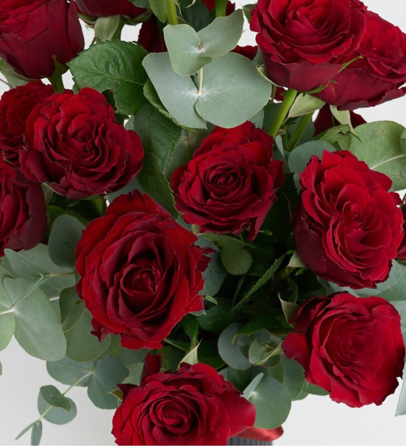 Siyah Çizgili Vazoda Kurdeleli Kırmızı Güller