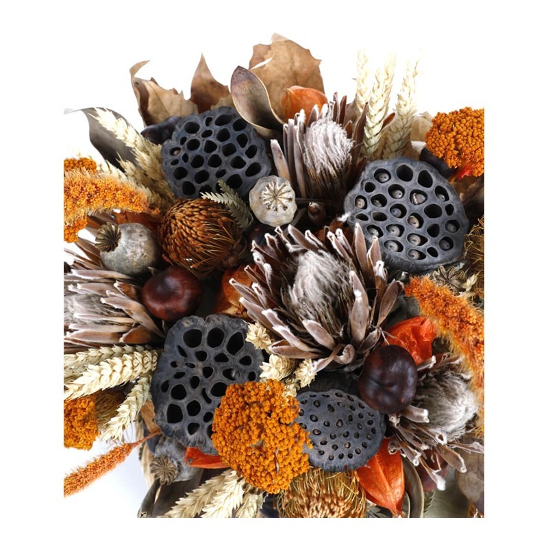 The Grasslands Dried Floral