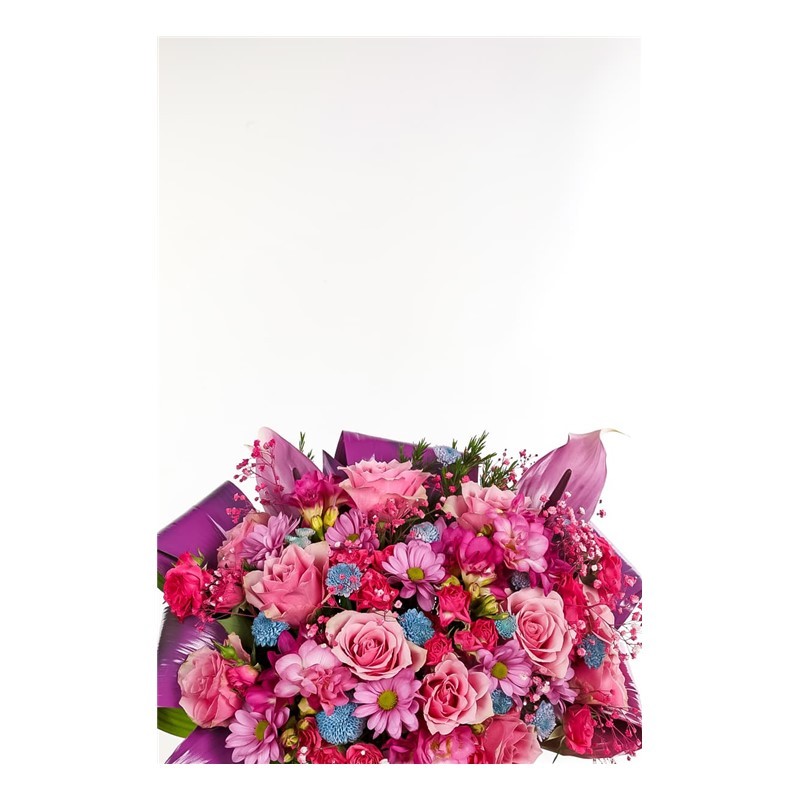 Pink Discourse Güller