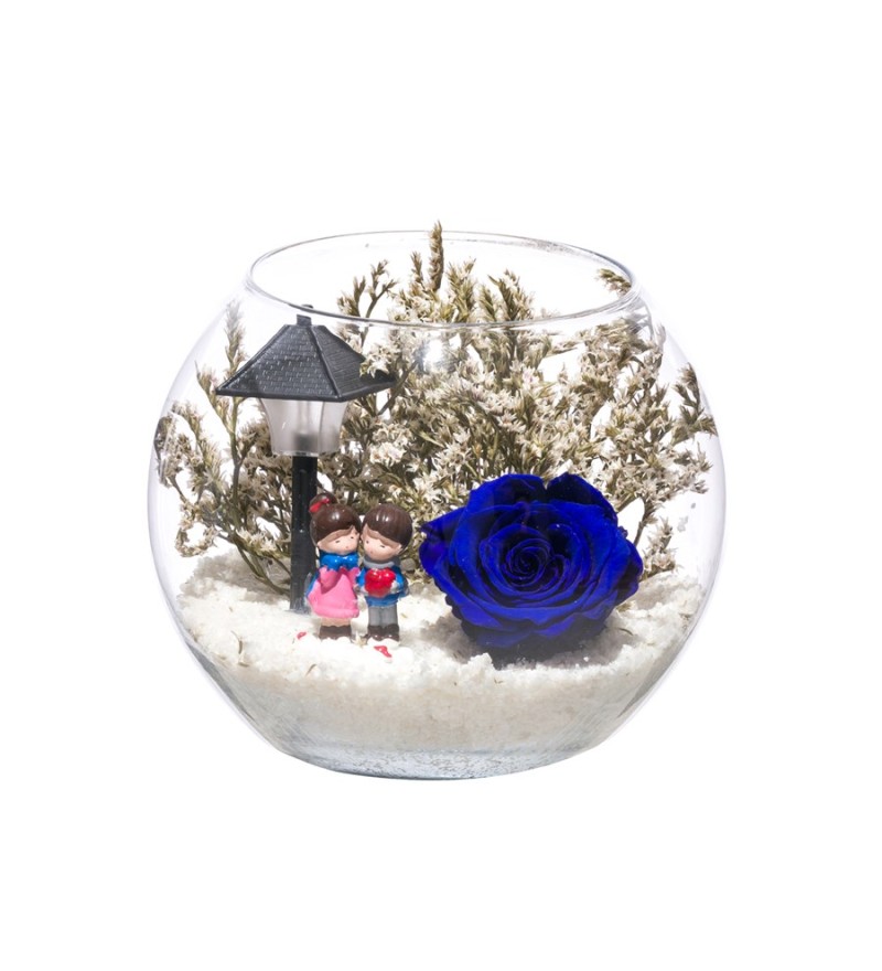 Teraryum Solmayan Gül Işıklı Aşk Büyüsü