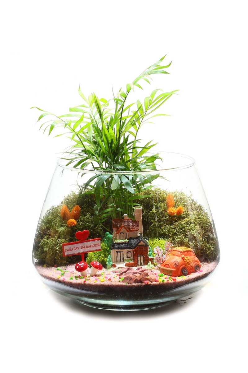 Teraryum Huzurlu Hane